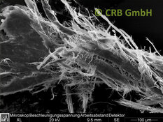 REM-Bild Chrysotil-Asbest in Linoleum | © CRB Analyse Service GmbH