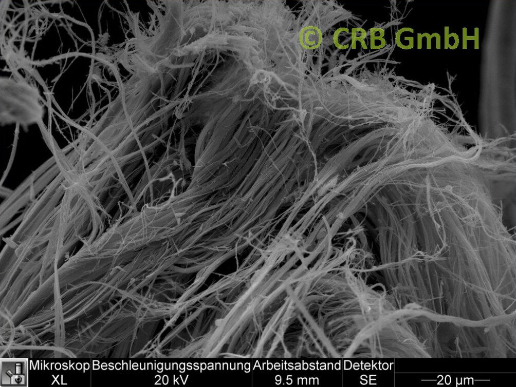 REM-Bild Chrysotil-Asbest in Asbestpappe | © CRB Analyse Service GmbH