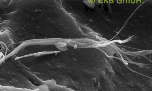 SEM-picture of chrysotile asbestos in brown-black bituminous glues | © CRB Analyse Service GmbH