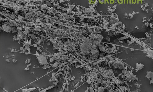SEM-picture of amphibole asbestos, amosite in kieselguhr | © CRB Analyse Service GmbH